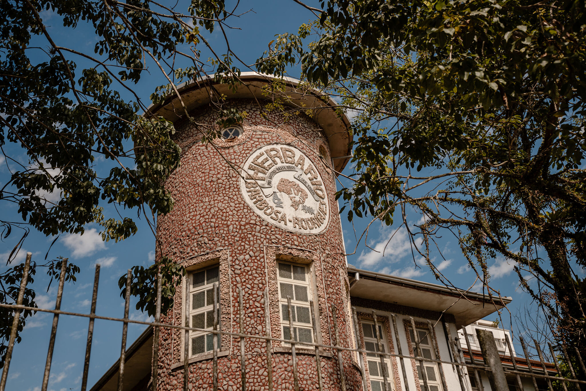 Herbário de SC leva à descoberta de 6 novas espécies de plantas ameaçadas