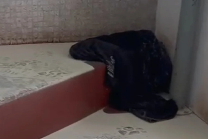 Homem invade prédio na Asa Sul, luta com morador e faz idosa de 95 anos refém
