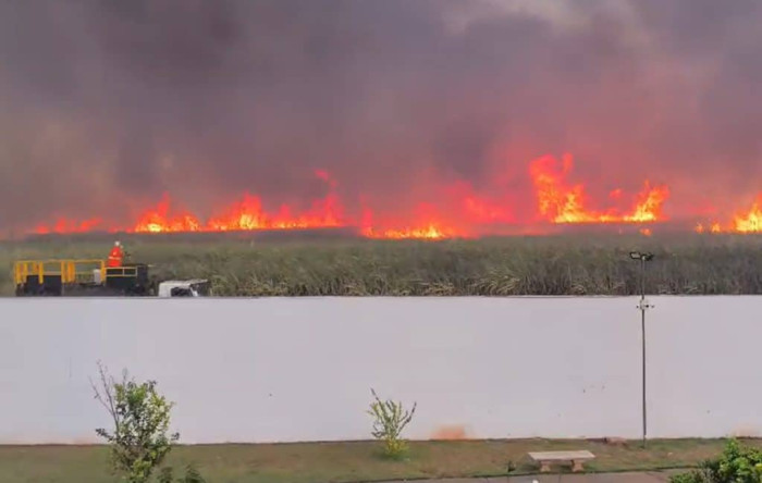 Incêndio atinge canavial ao lado de condomínio em São Joaquim da Barra